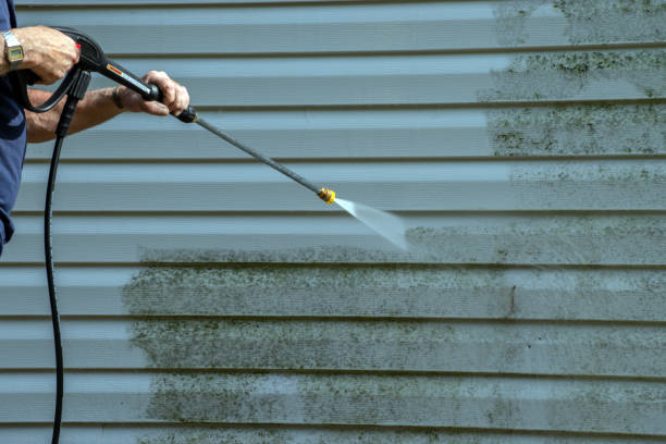 Best Patio and Deck Pressure Washing  in Mount Angel, OR