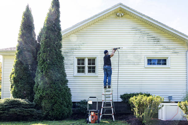 Best Driveway Pressure Washing  in Mount Angel, OR